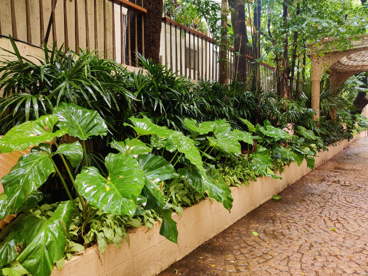Elegant residential garden design at Mangal Aaditayan with landscape plantation features
